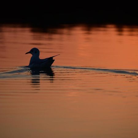 Agriturismo Venice Photobirding 泰塞拉 外观 照片