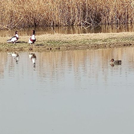 Agriturismo Venice Photobirding 泰塞拉 外观 照片