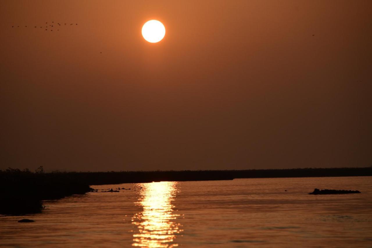 Agriturismo Venice Photobirding 泰塞拉 外观 照片